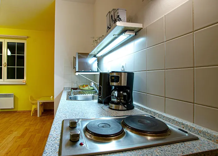 Karlov Apartment Mala Moravka